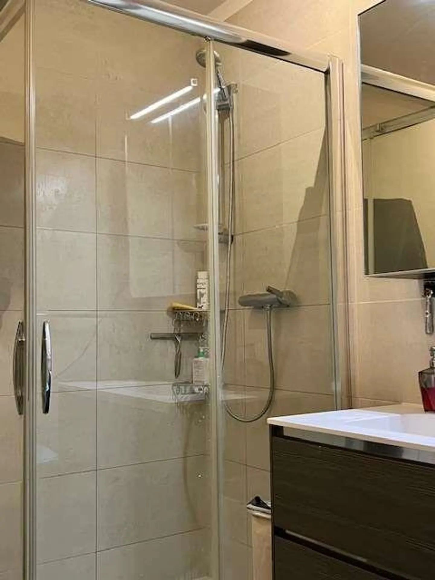 Appartamento a Pregassona (TI) in vendita - Foto 8 di 13