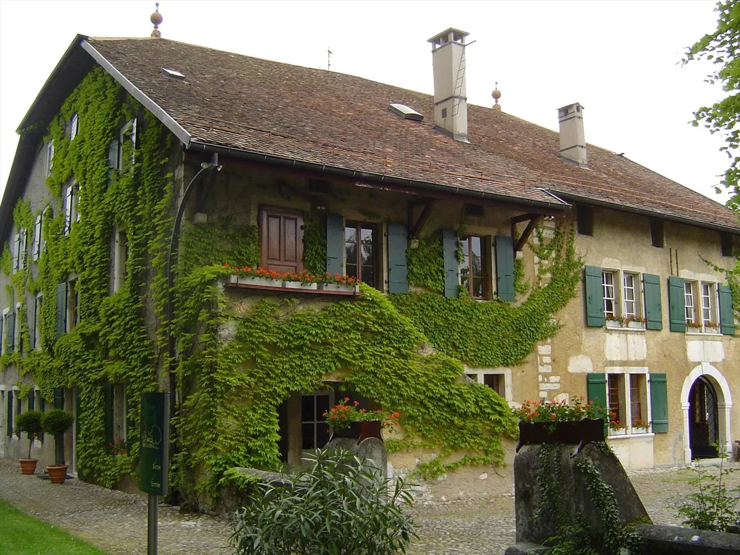 ESCLUSIVA: Magnifica proprietà nel cuore del vigneto - Foto 3 di 5