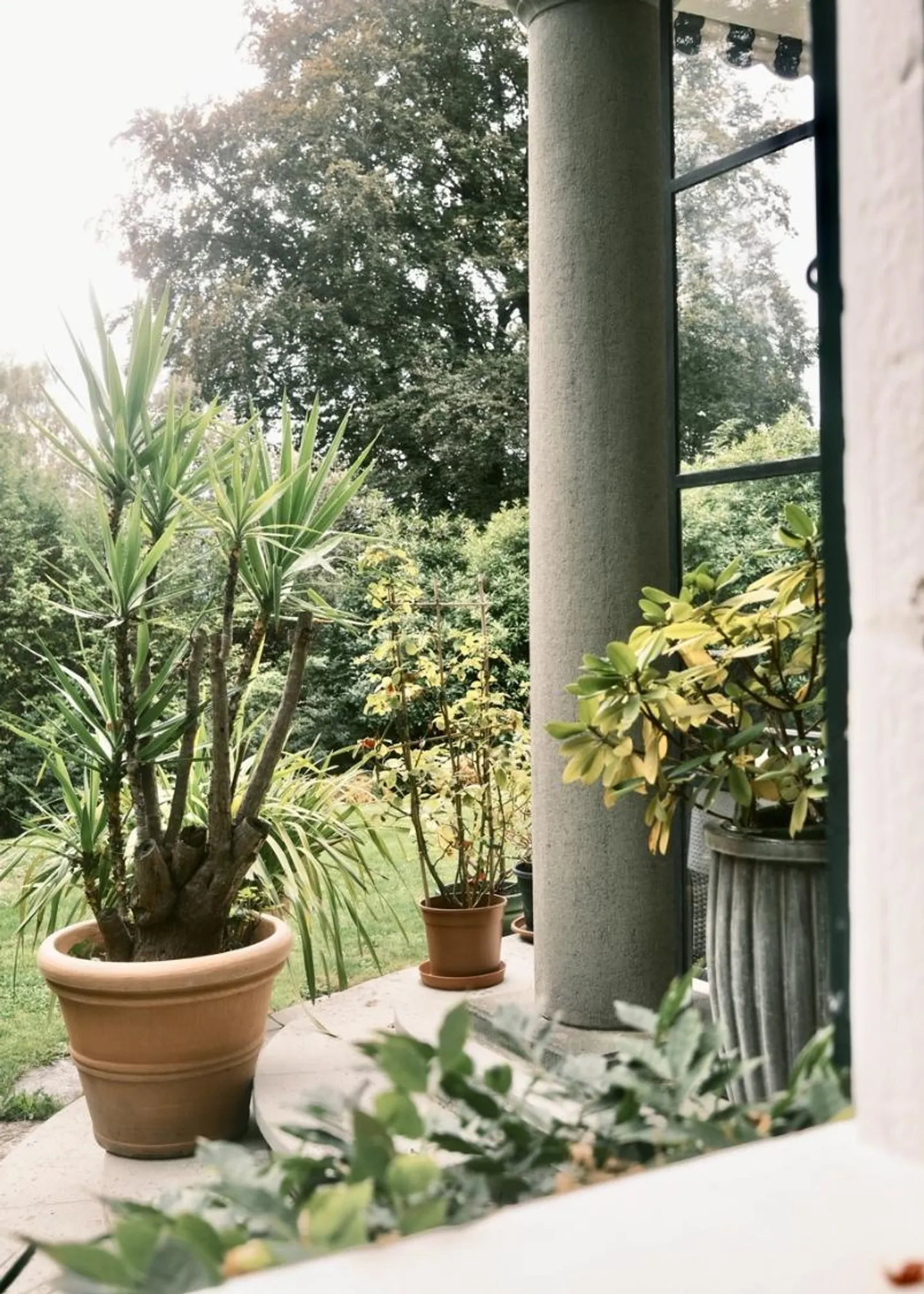 Chambre 1 pièce - Foto 11 von 13