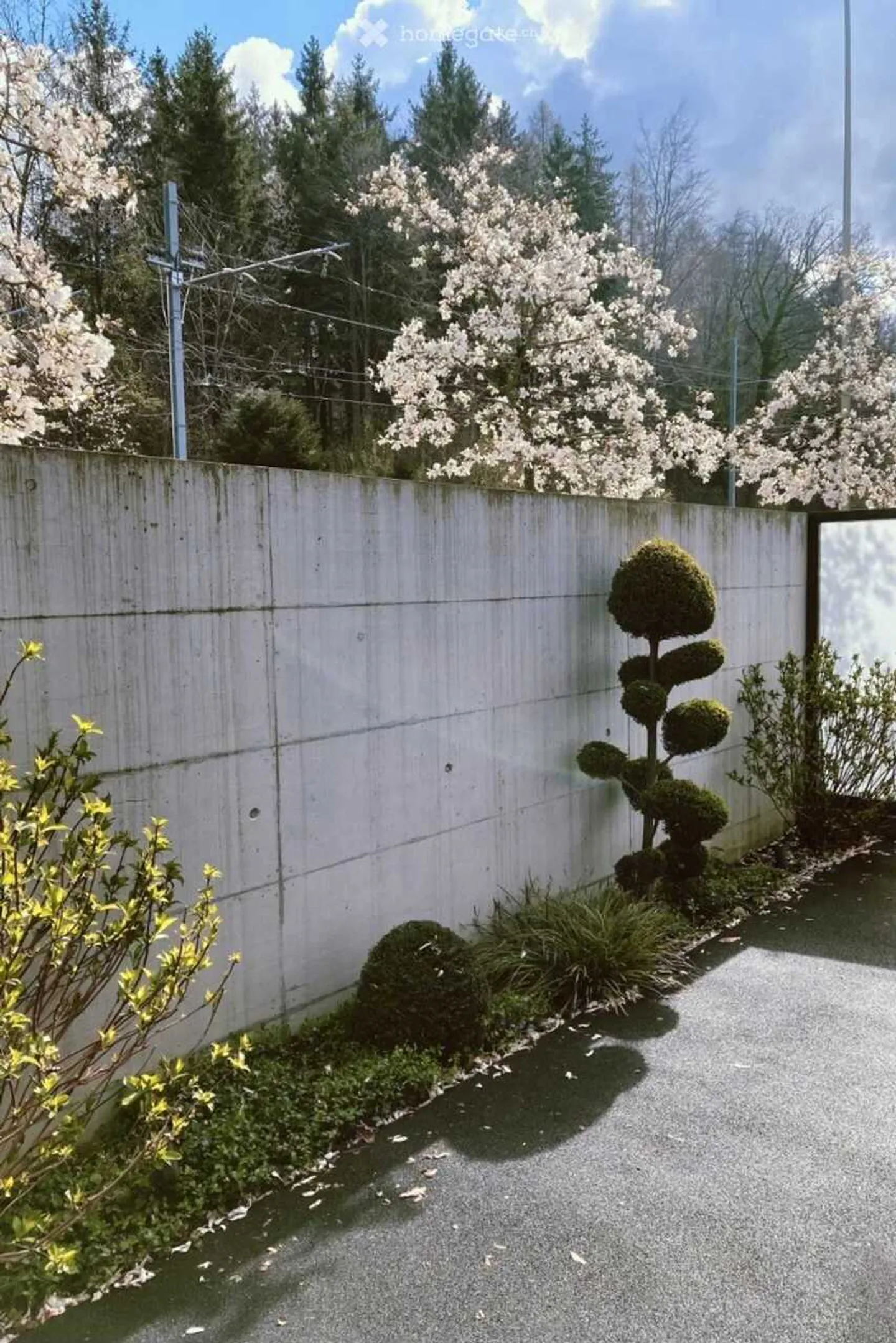 Studio - Foto 11 di 12