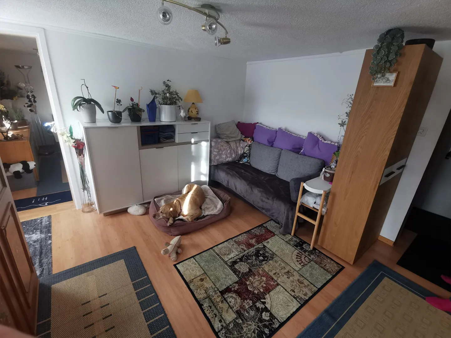 3.5 Room Apartment 1st Floor - Photo 5 of 7