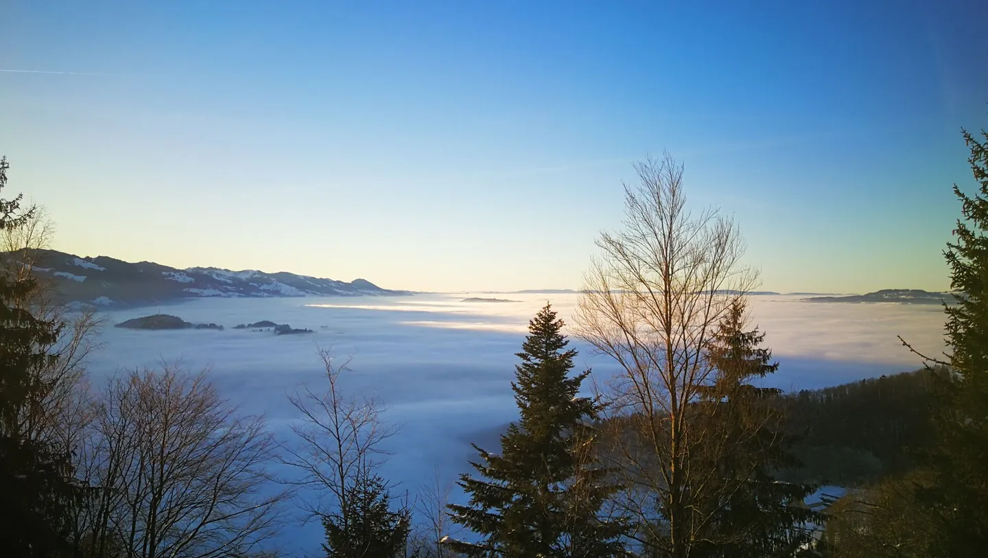 Traumhafte Bauparzelle mit Panoramablick - Einfamilienhaus realisierbar - Foto 13 von 13