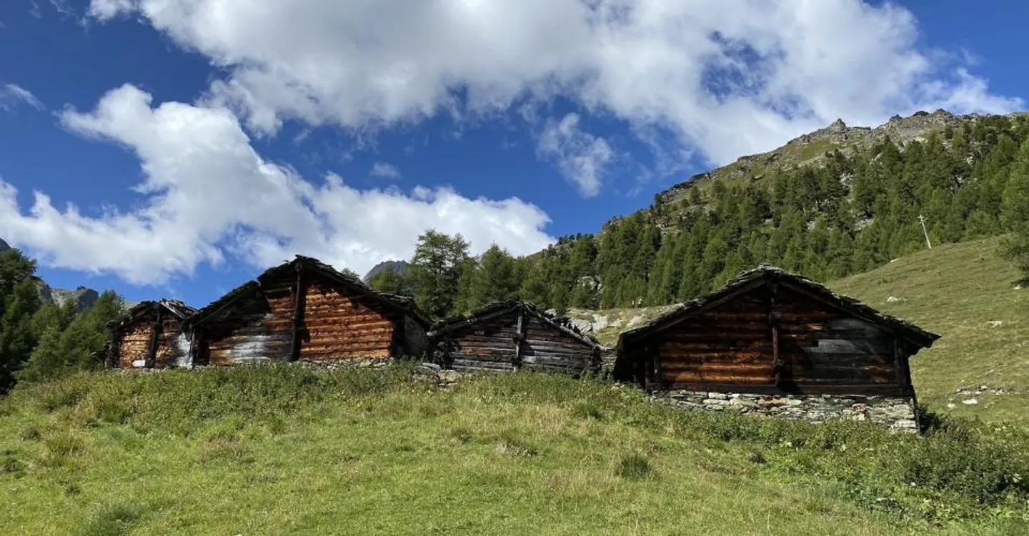Geräumige Wohnung mit Terrasse - Foto 7 von 7