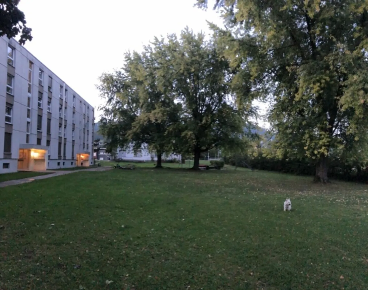 1 month free - newly renovated 4.5 room apartment, 3rd floor - Photo 7 of 9