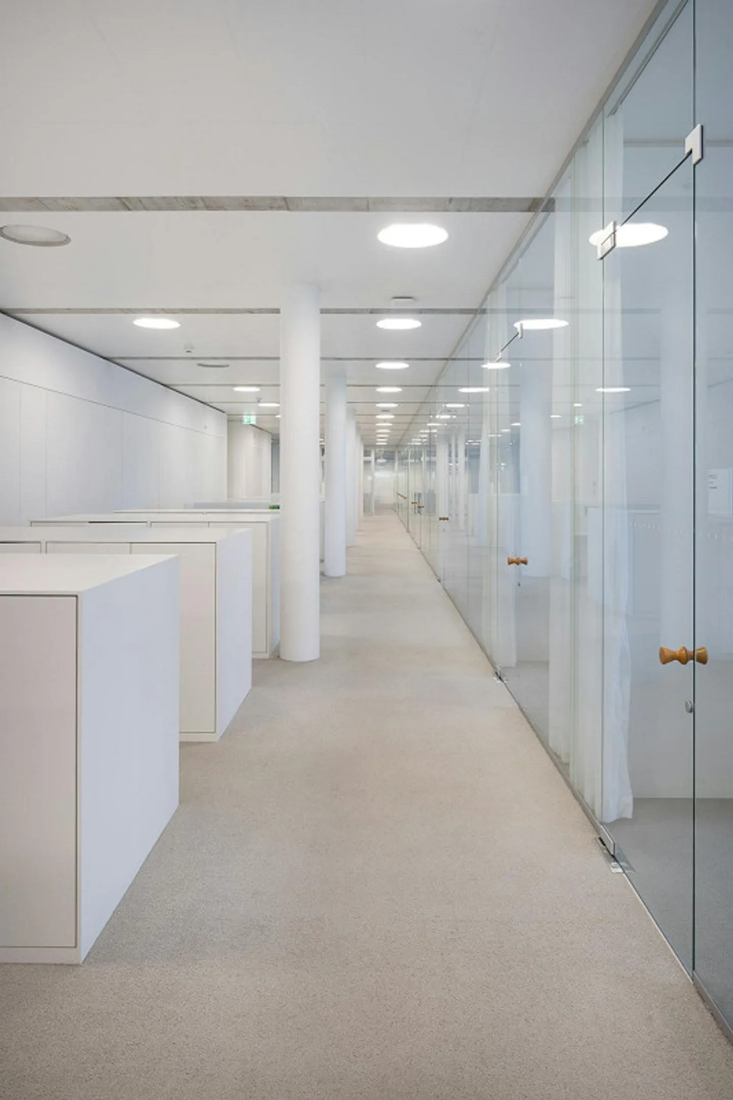 SONUVO - HUB UFFICIO & SCIENZE DELLA VITA ALLSCHWIL - Foto 8 di 12
