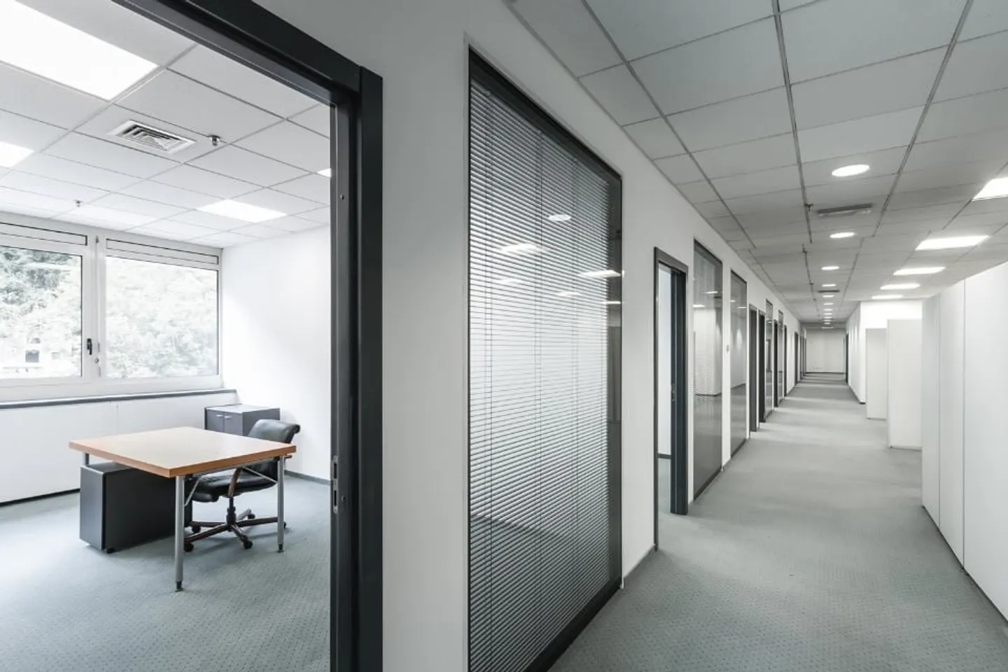 LUGANO NORD - BUREAU À LOUER DE 1162 M² DIVISIBLE (réf. 202-203) - Photo 1 sur 15