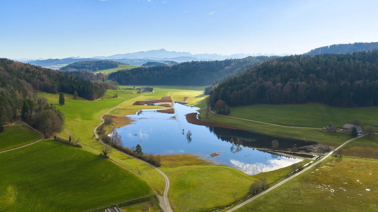 Spacious 3.5-room apartment with a view of greenery - Photo 14 of 15