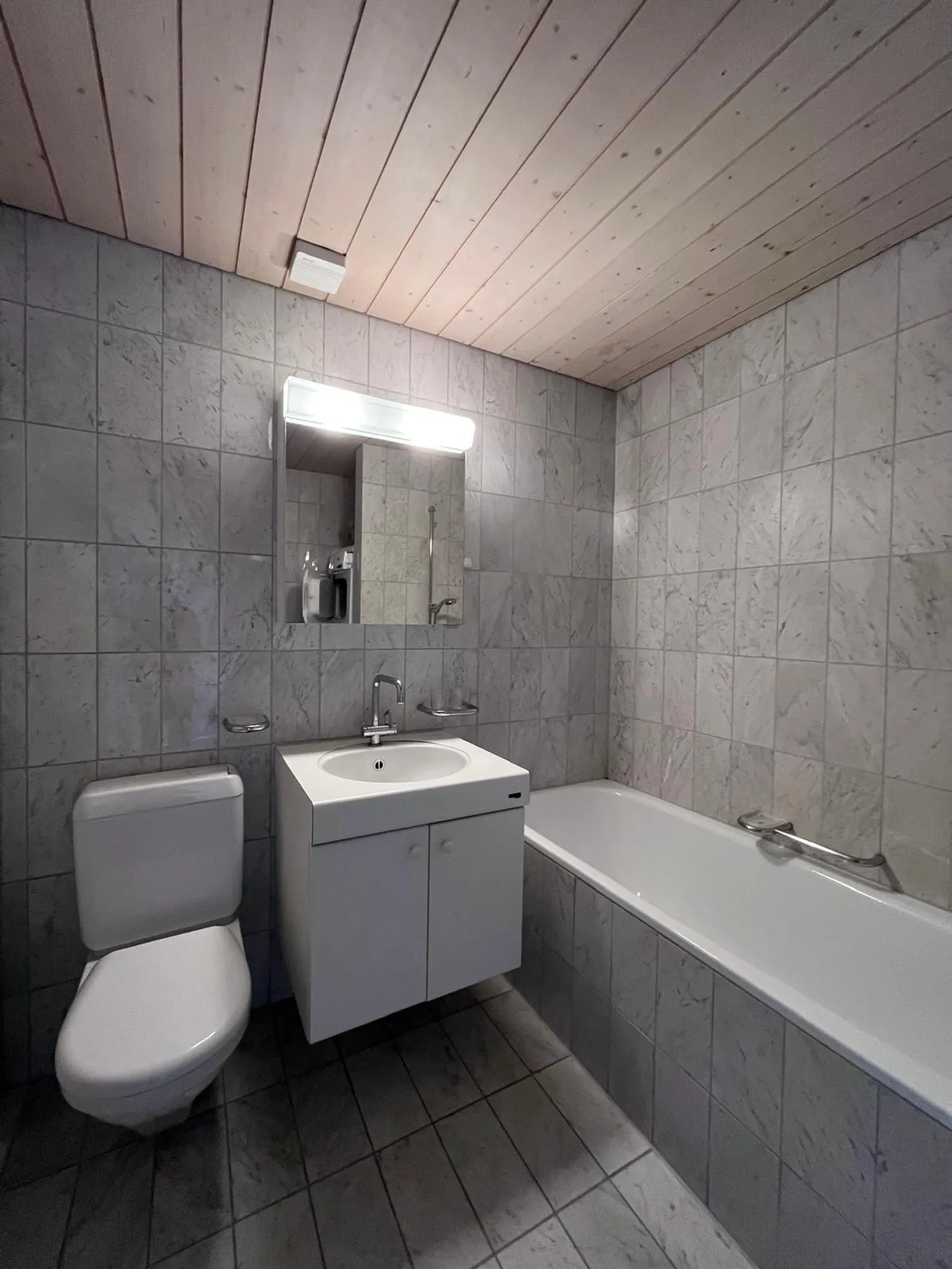 Appartamento 1 1/2 camere con galleria e grande terrazza privata - Foto 6 di 13