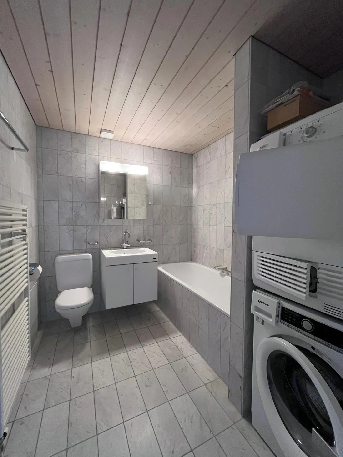 Appartamento 1 1/2 camere con galleria e grande terrazza privata - Foto 7 di 13