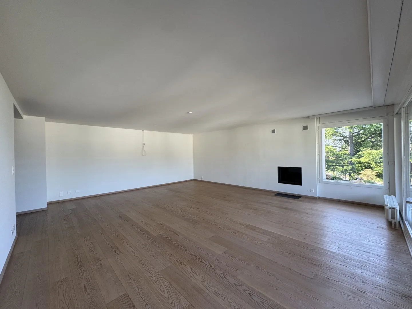 Elegant 4.5 rooms with terrace and exceptional lake view - Photo 4 of 17