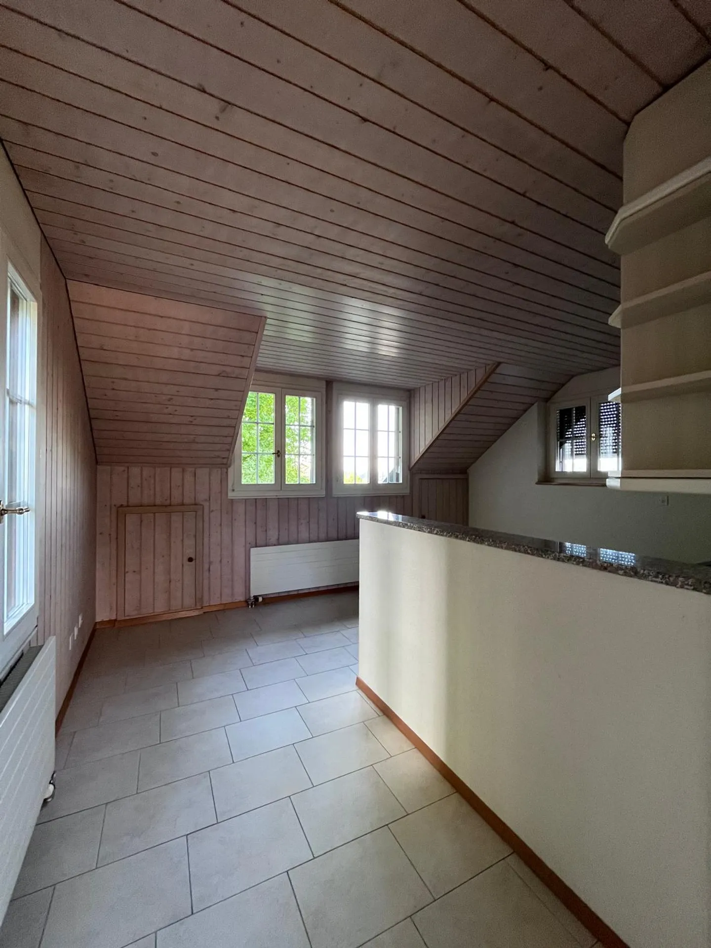 Appartamento 1 1/2 camere con galleria e grande terrazza privata - Foto 11 di 13