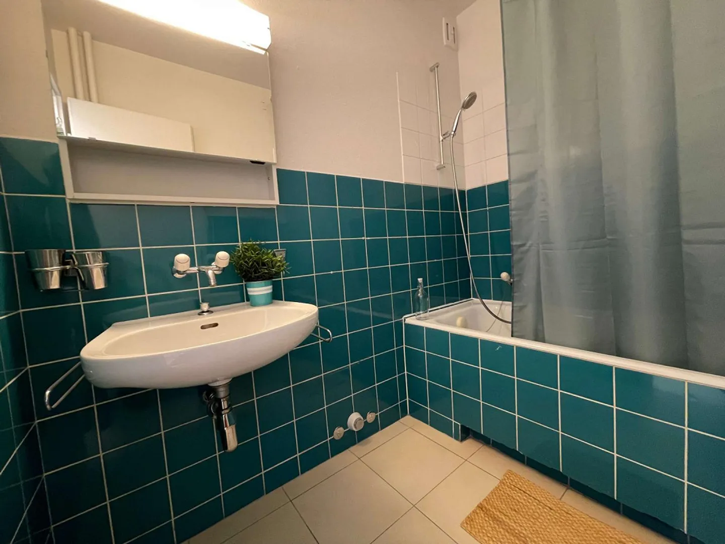 Charming Apartment in Lausanne - Photo 14 of 16