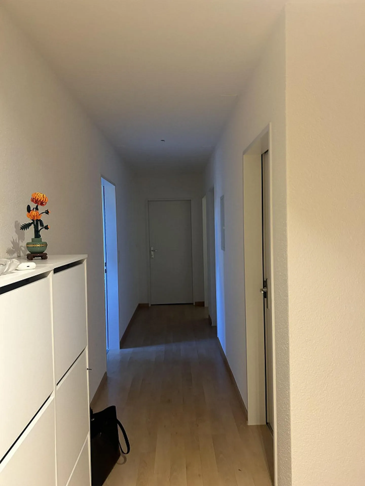 Chambre en colocation avec salle de bain privée dans un bel appartement de 5.5 pièces - Photo 7 sur 9