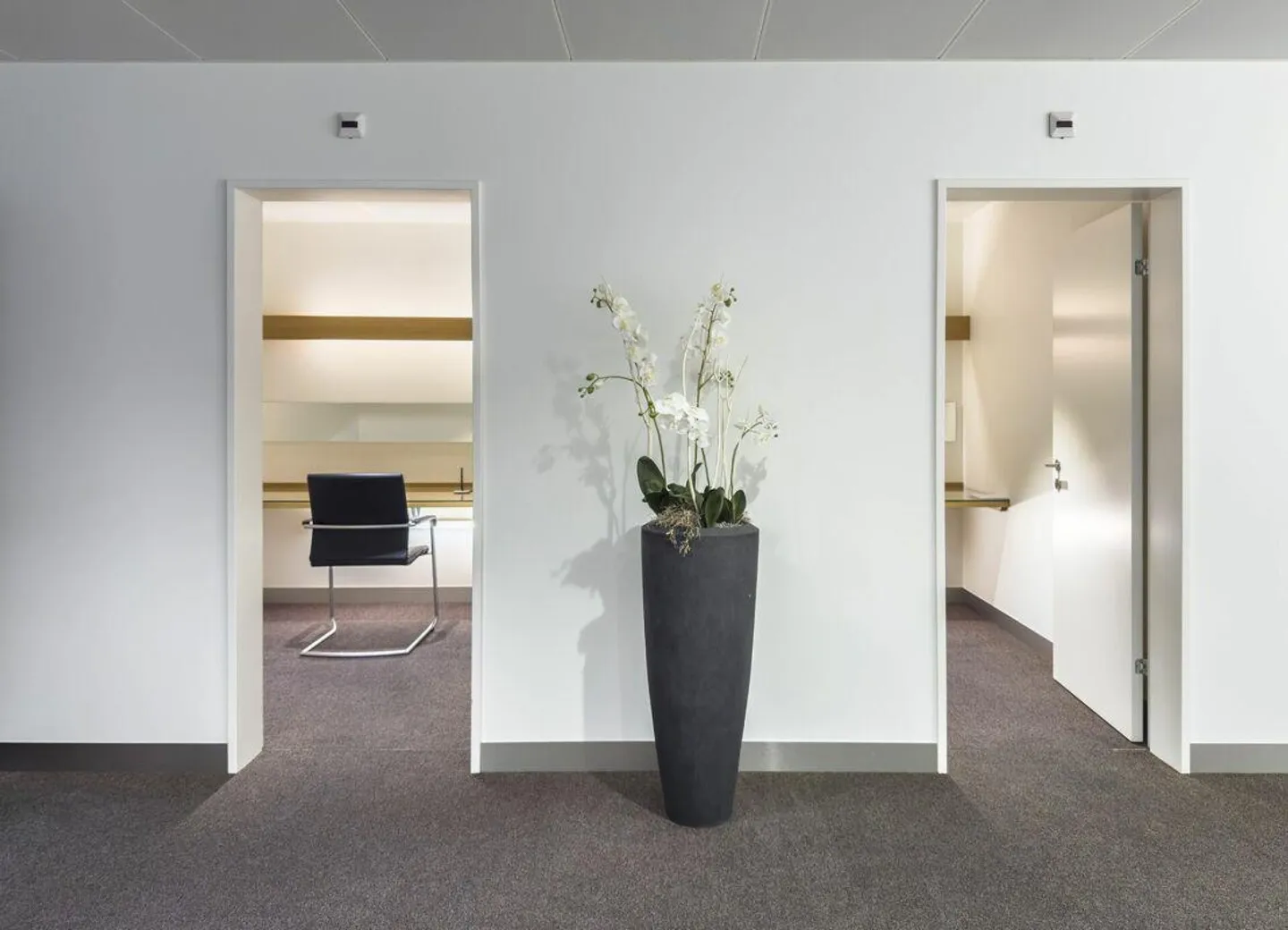 Central Practice and Office Space with Good Visibility - Photo 6 of 9