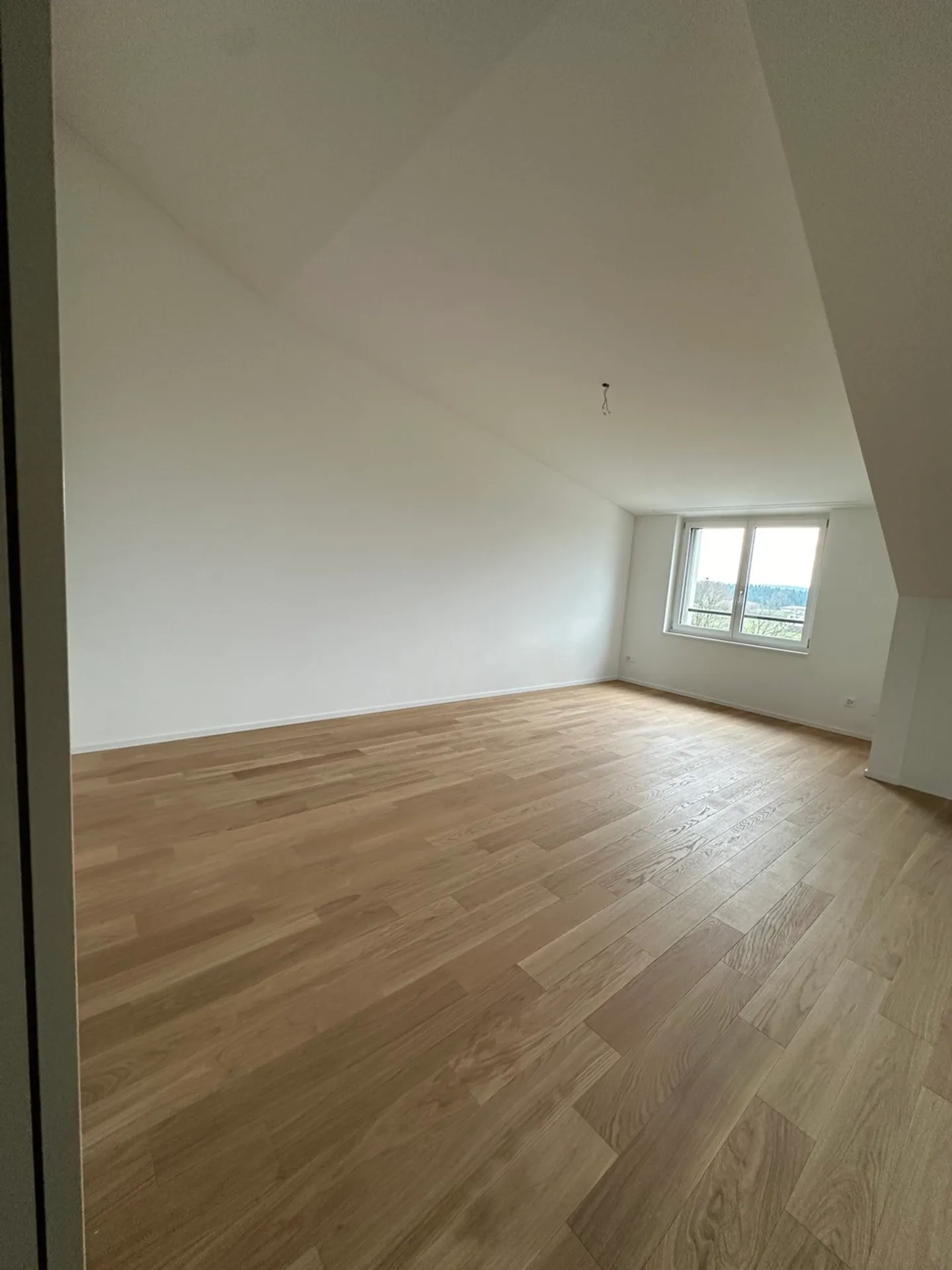 Magnifique appartement en attique de 3,5 pièces à Eschenbach - Photo 3 sur 13