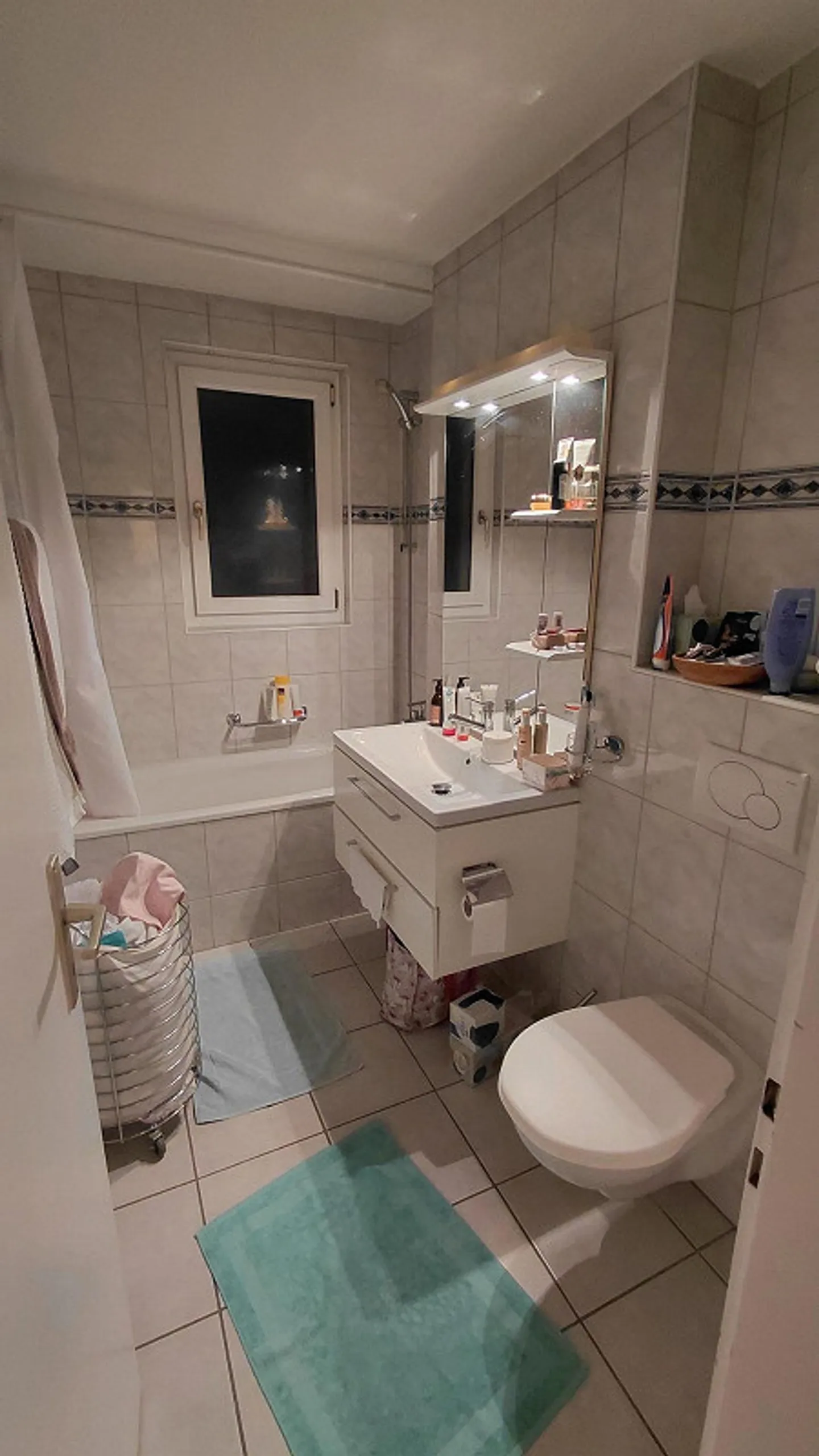 3.5 Chambres, 75m2, avec Vue sur le Lac - Photo 8 sur 10