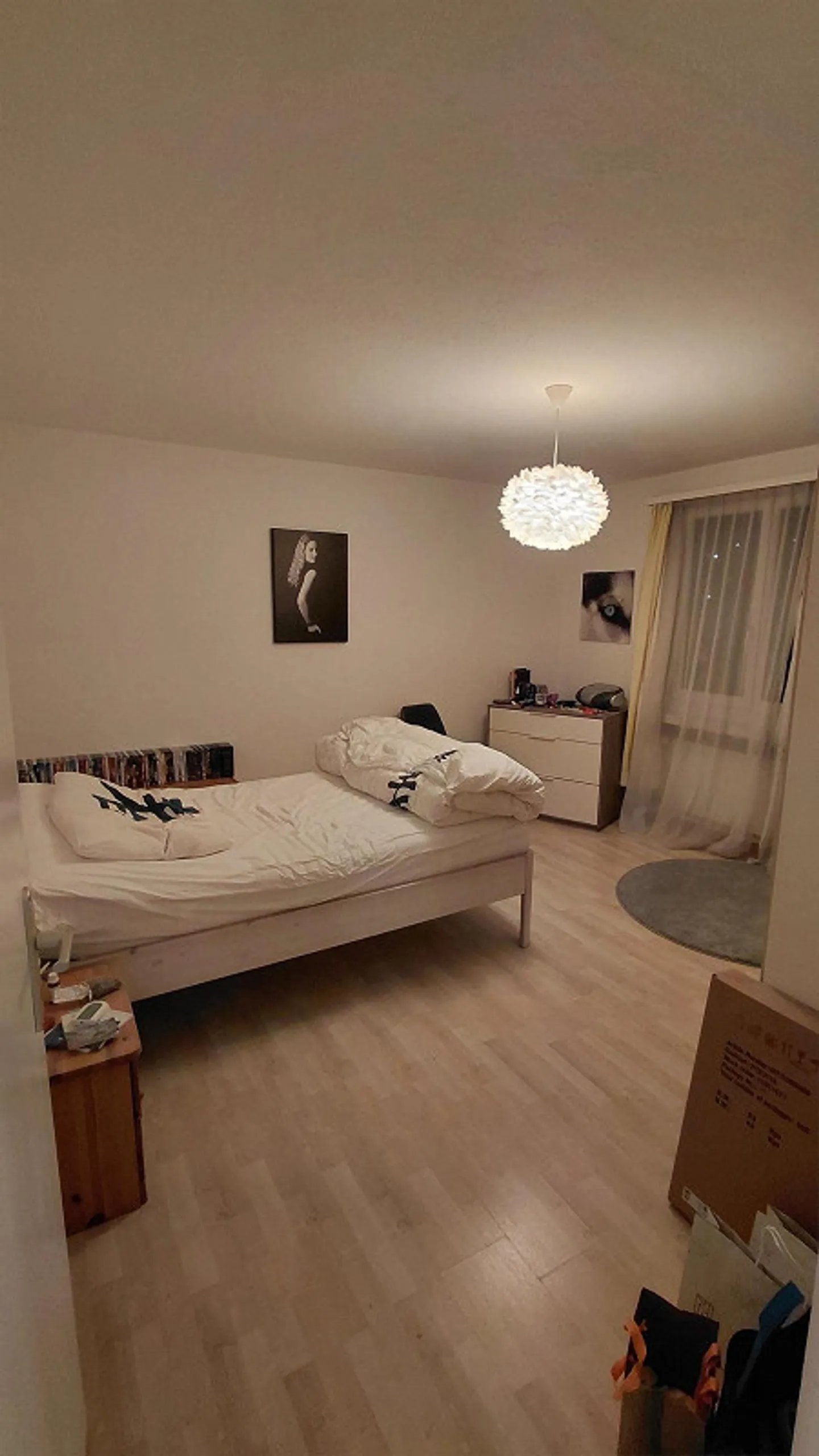 3.5 Chambres, 75m2, avec Vue sur le Lac - Photo 5 sur 10