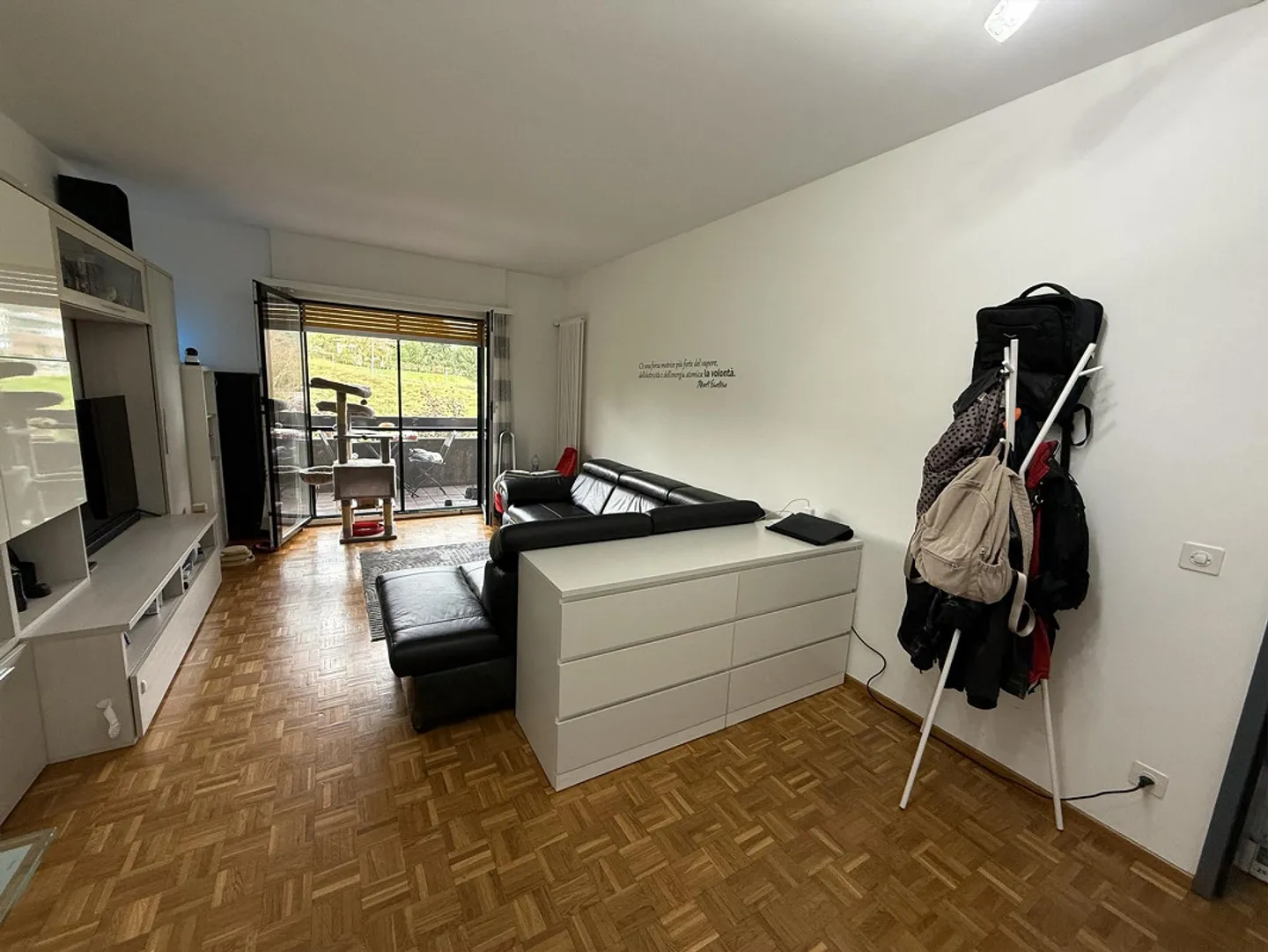 Cerco subentrante per spazioso 2.5 locali  a Manno - Foto 3 di 10