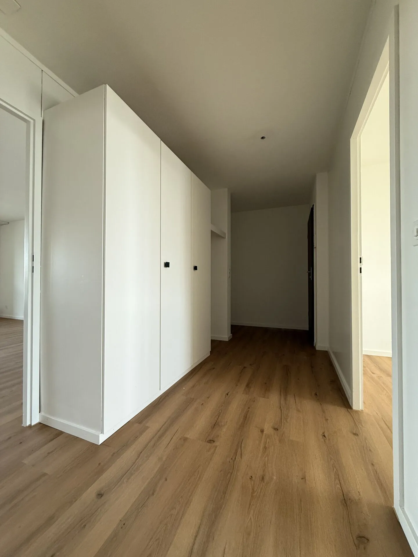 3.5 Room Apartment in Bellach - Photo 4 of 6