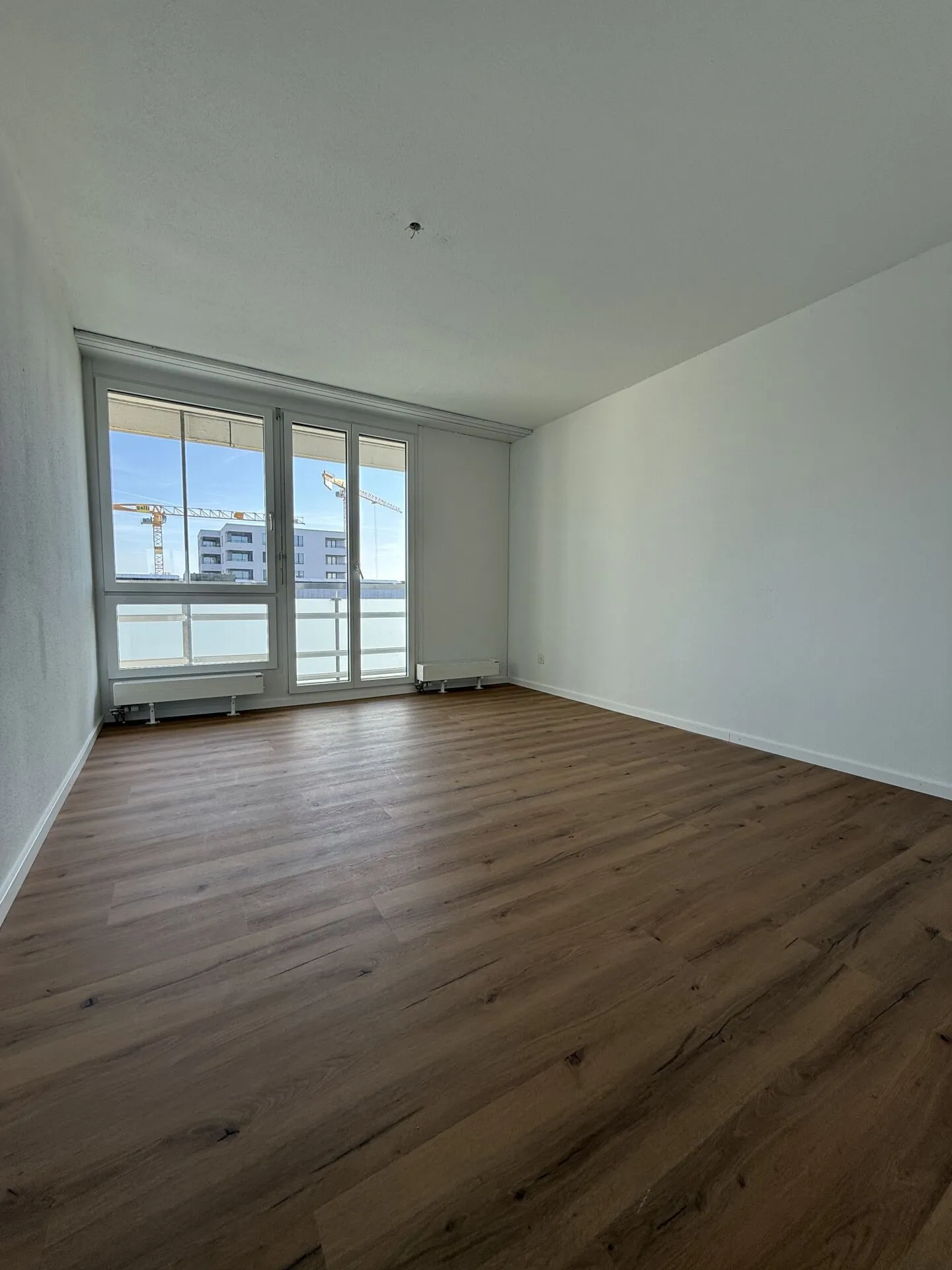 3.5 Room Apartment in Bellach - Photo 6 of 6