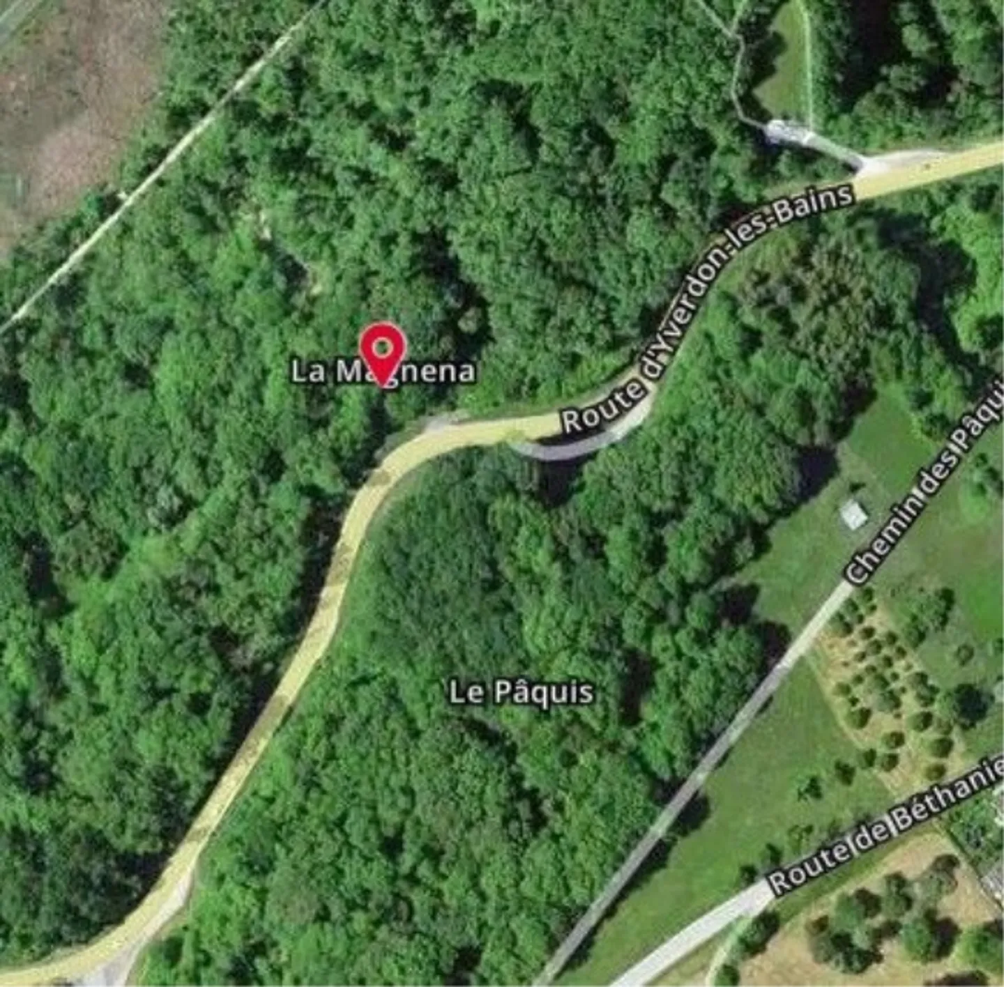 *Two plots of dense forest with rocks* - Photo 2 of 4