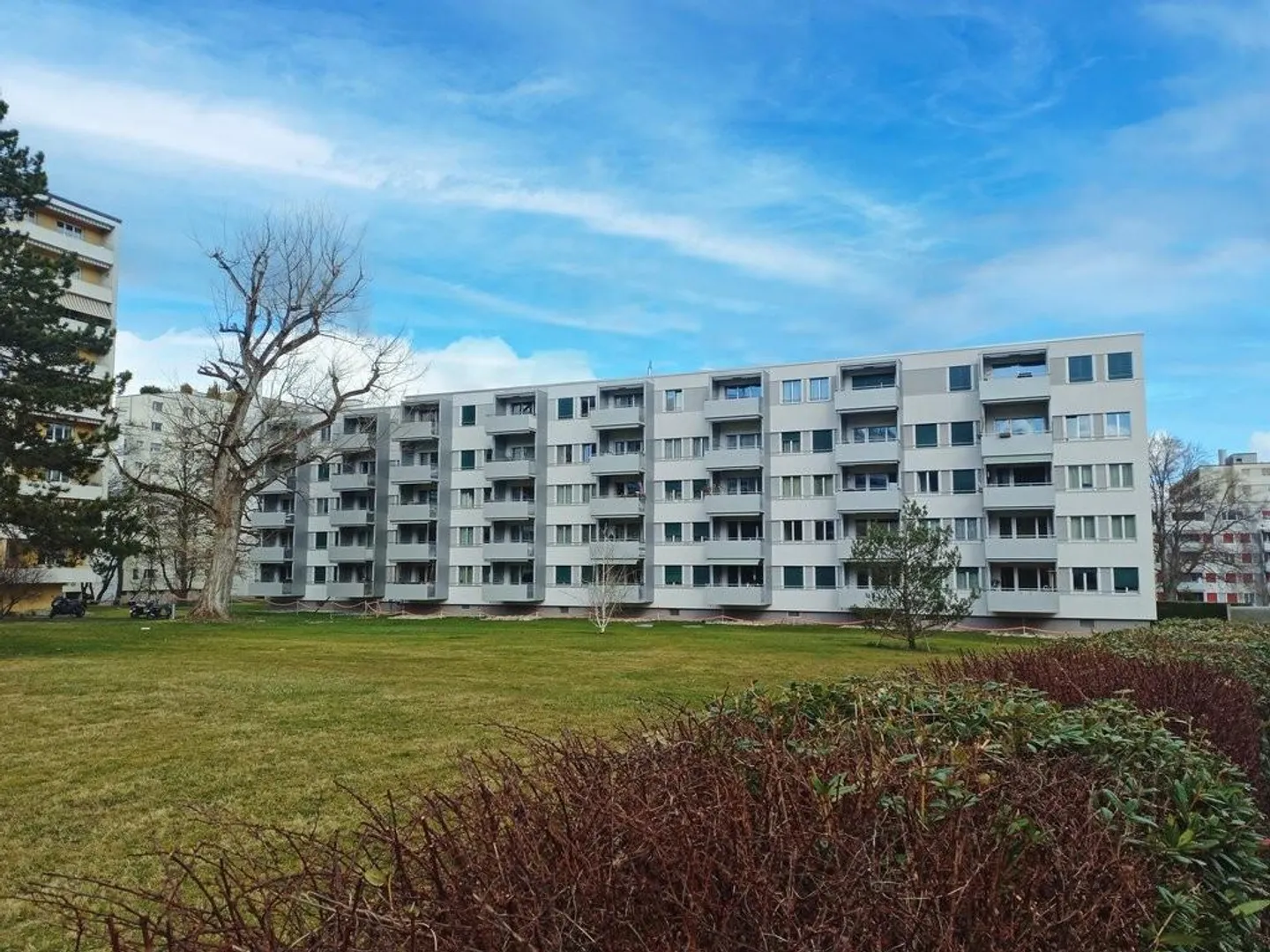 Appartement lumineux à louer dans le quartier de Friesenberg - Photo 1 sur 7