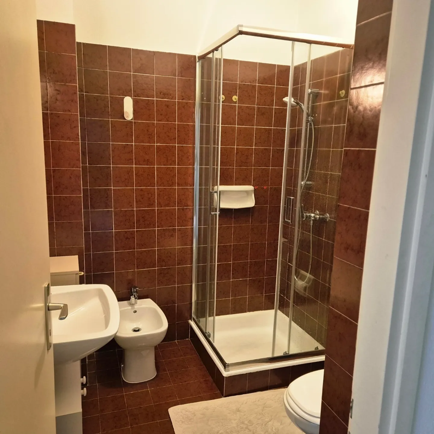 2 ROOM APARTMENT IN VIGANELLO (TI), FURNISHED, TEMPORARY - Photo 7 of 10