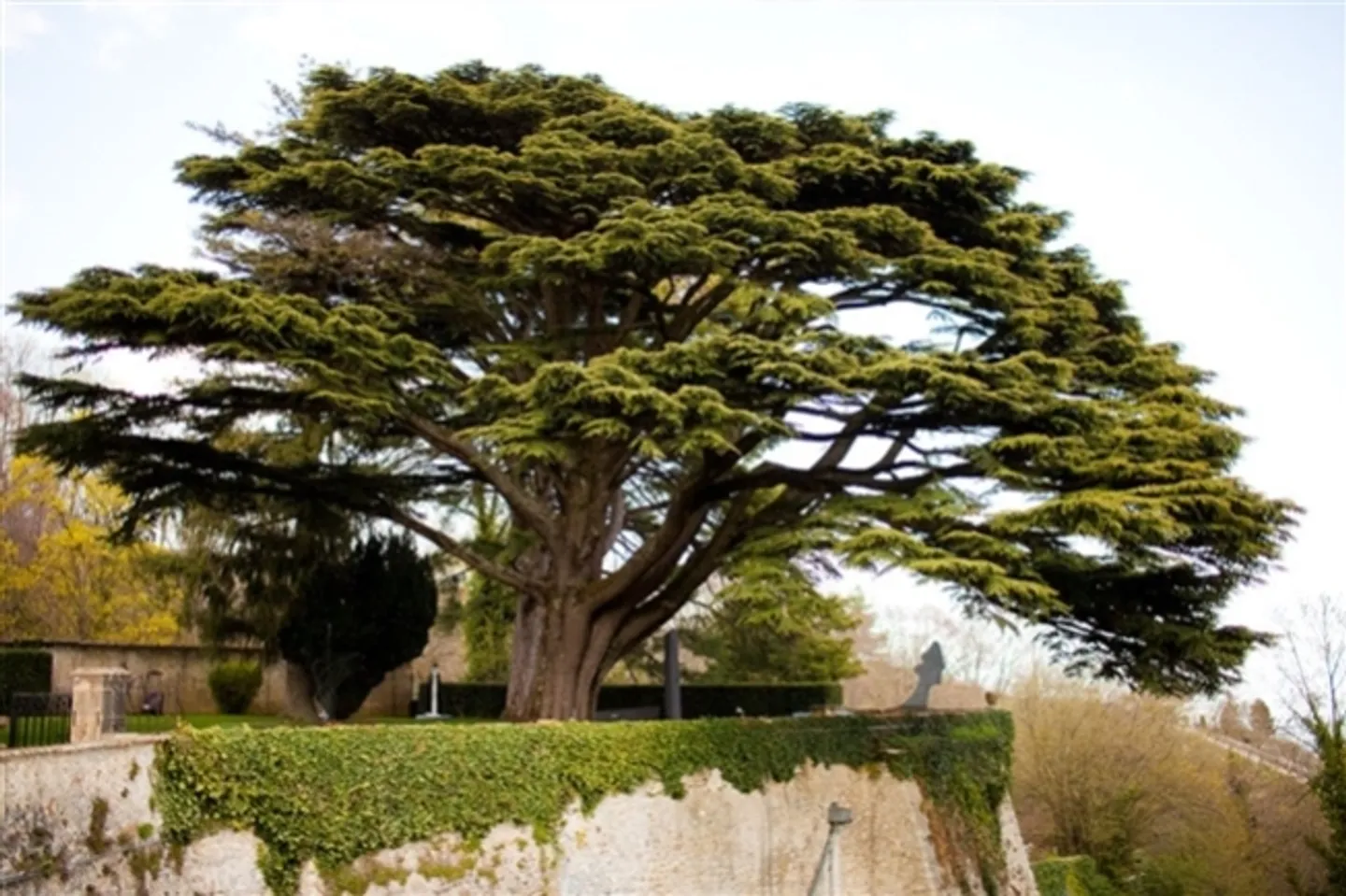 «Office» - Photo 5 sur 6