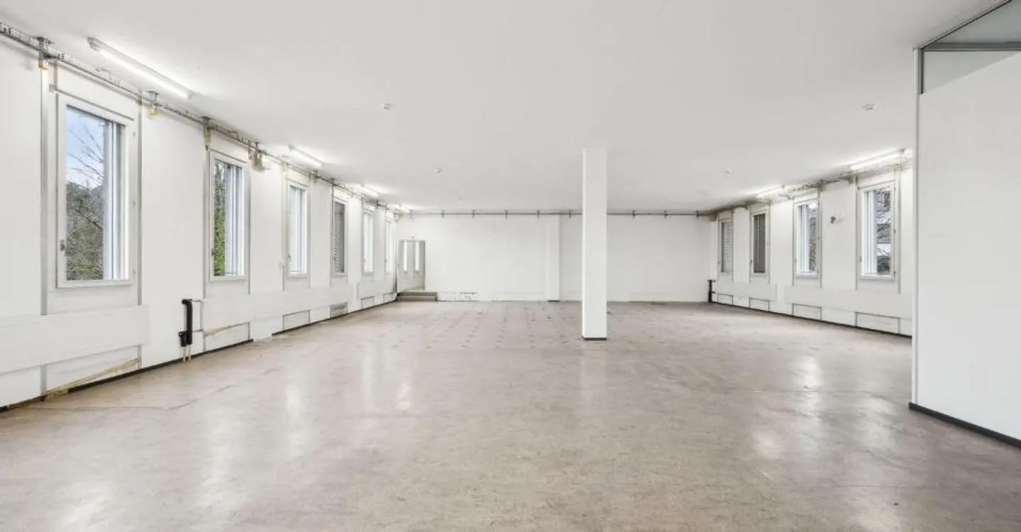 Beaucoup d'espace pour vos idées : 305 m² d'espace commercial à Arlesheim - Photo 5 sur 8