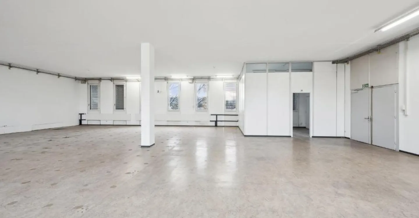 Beaucoup d'espace pour vos idées : 305 m² d'espace commercial à Arlesheim - Photo 6 sur 8