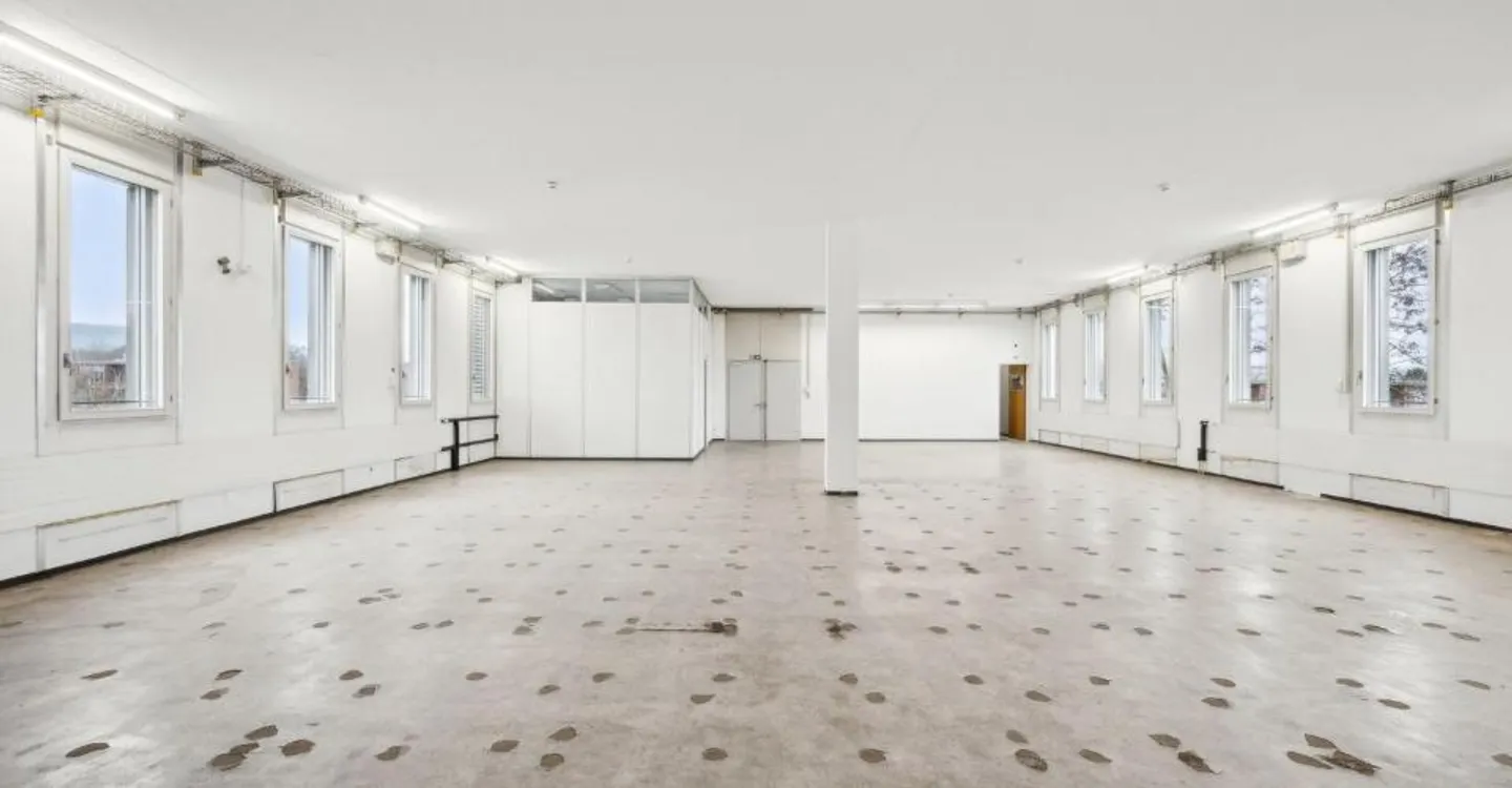 Beaucoup d'espace pour vos idées : 305 m² d'espace commercial à Arlesheim - Photo 8 sur 8