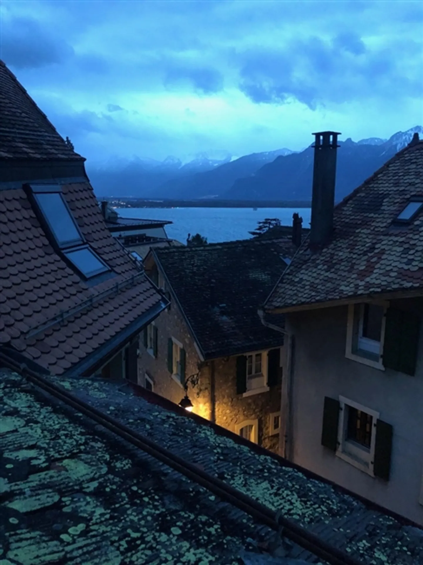 Propriétés à vendre, 2 et 2bis ch. du Liboson, à Veytaux, Suisse - Photo 6 sur 7