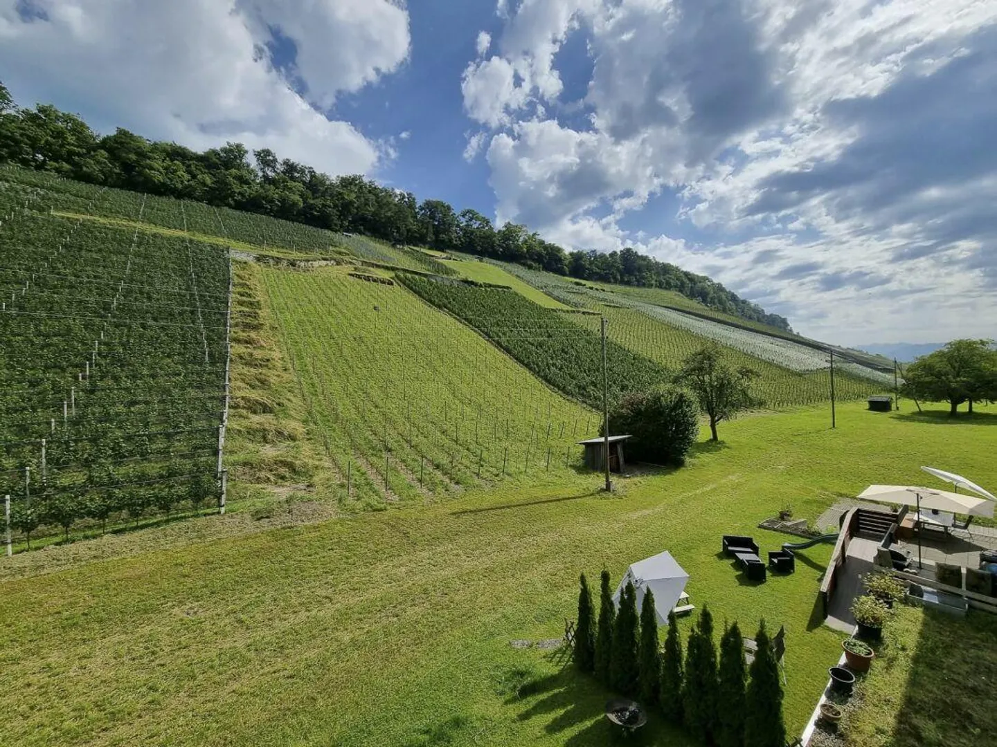 Vivere tra le vigne! - Foto 2 di 10