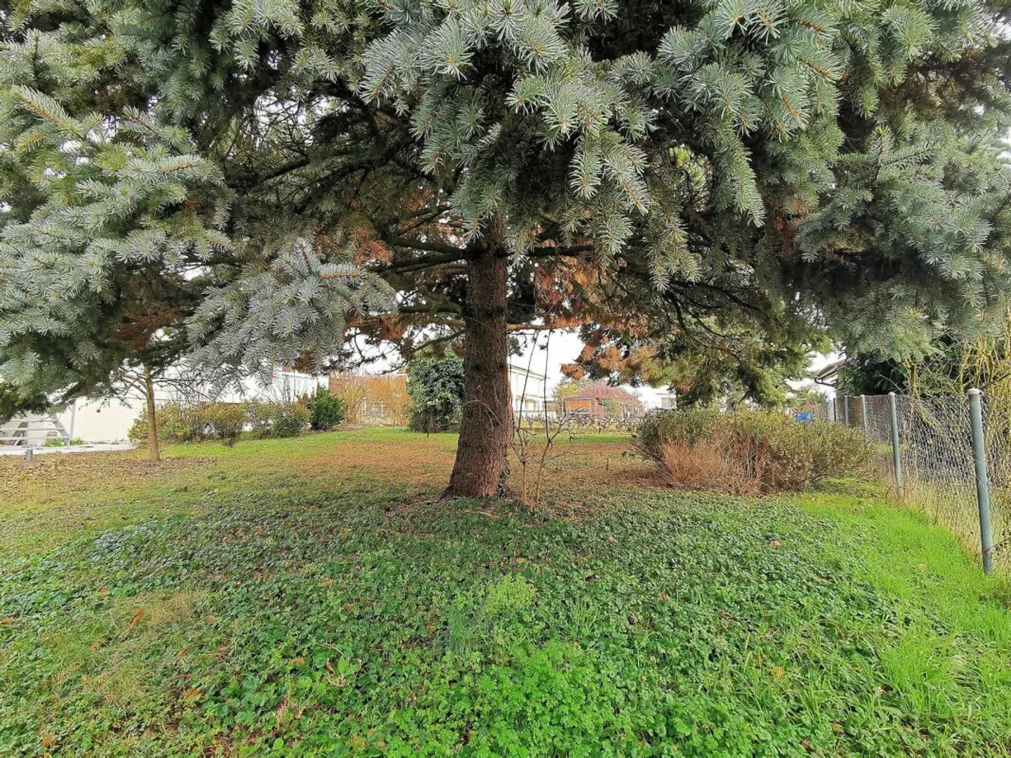 Splendida villa completamente ristrutturata a Colombier, con un magnifico giardino! - Foto 16 di 16