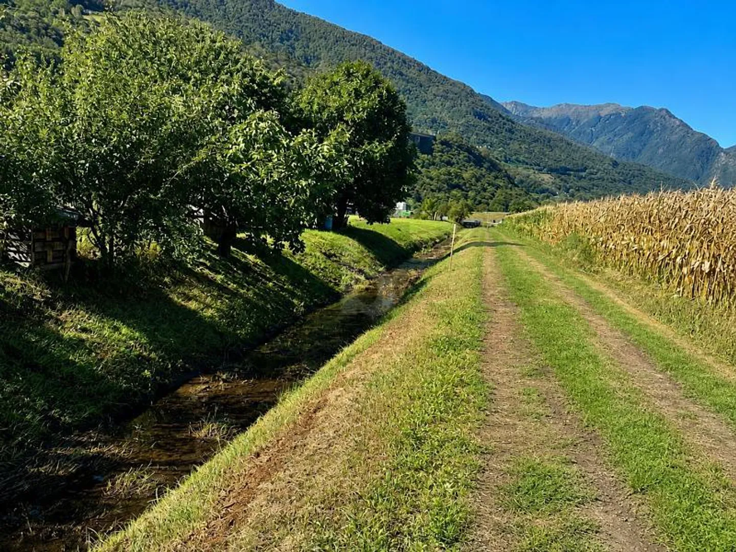 AMPIO IN POSIZIONE SOLEGGIATA E STRATEGICA - Foto 4 von 6