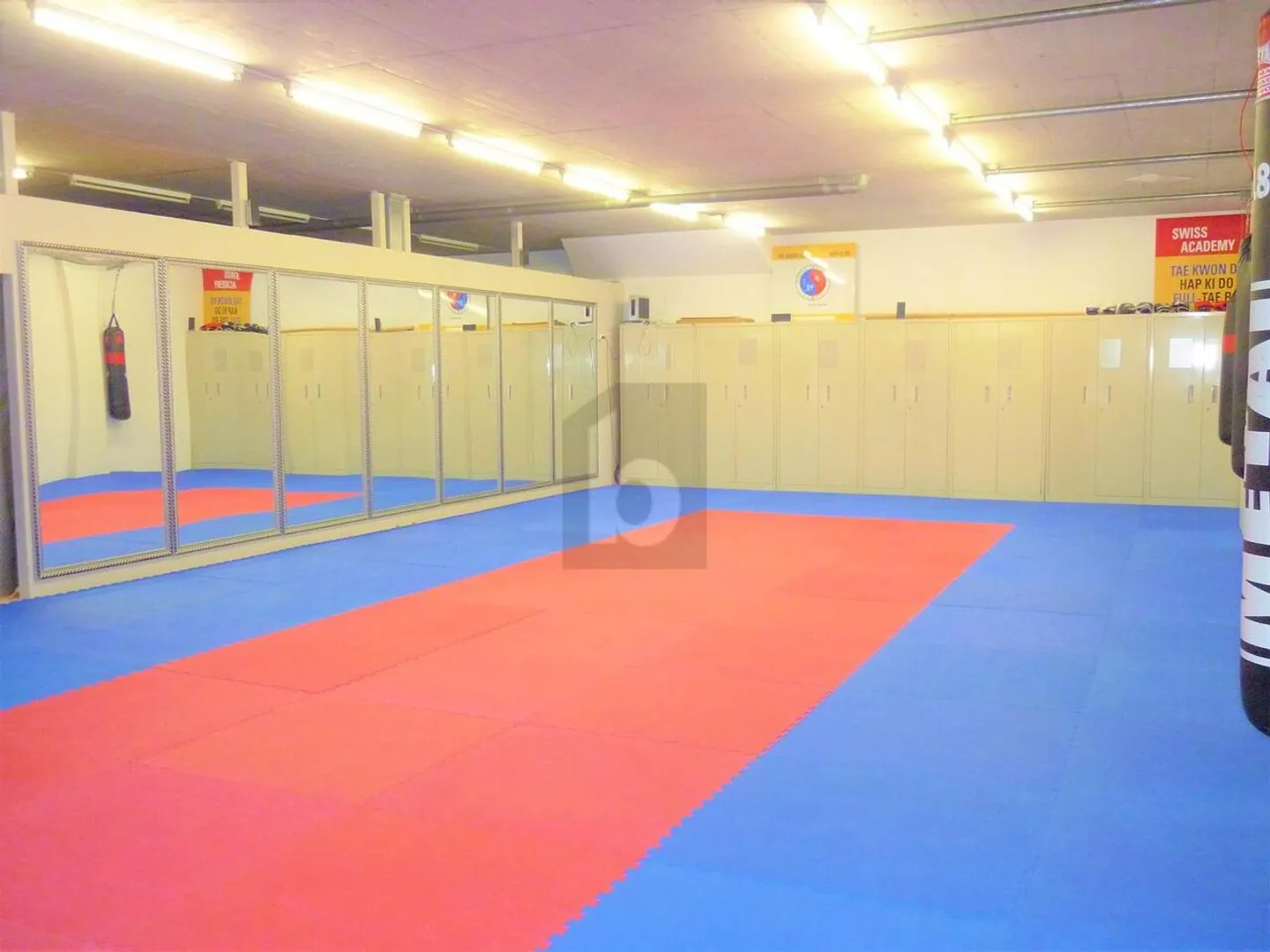 SALLE DE SPORT MULTIFONCTIONS - Photo 2 sur 6