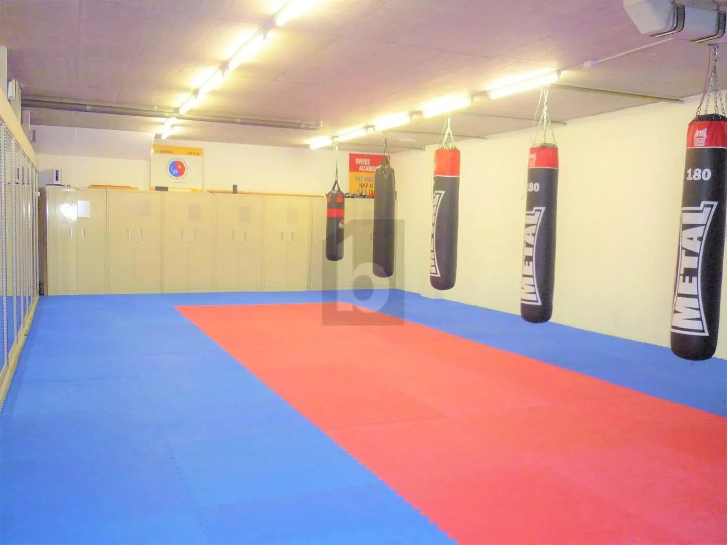 SALLE DE SPORT MULTIFONCTIONS - Photo 3 sur 6