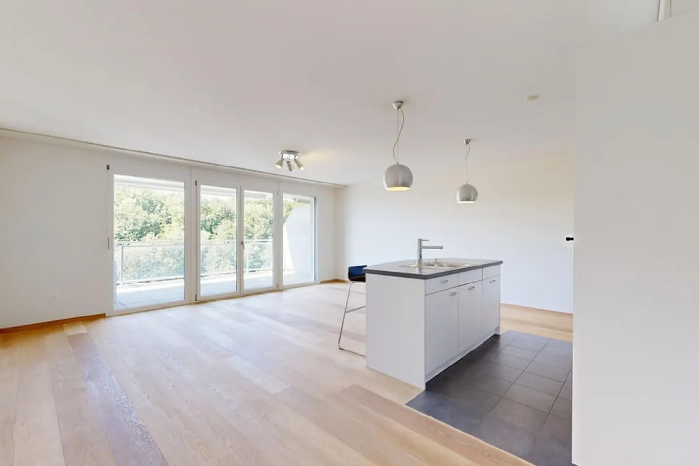 Bright 3.5 rooms with large balcony and unobstructed view of the lake - Photo 3 of 12