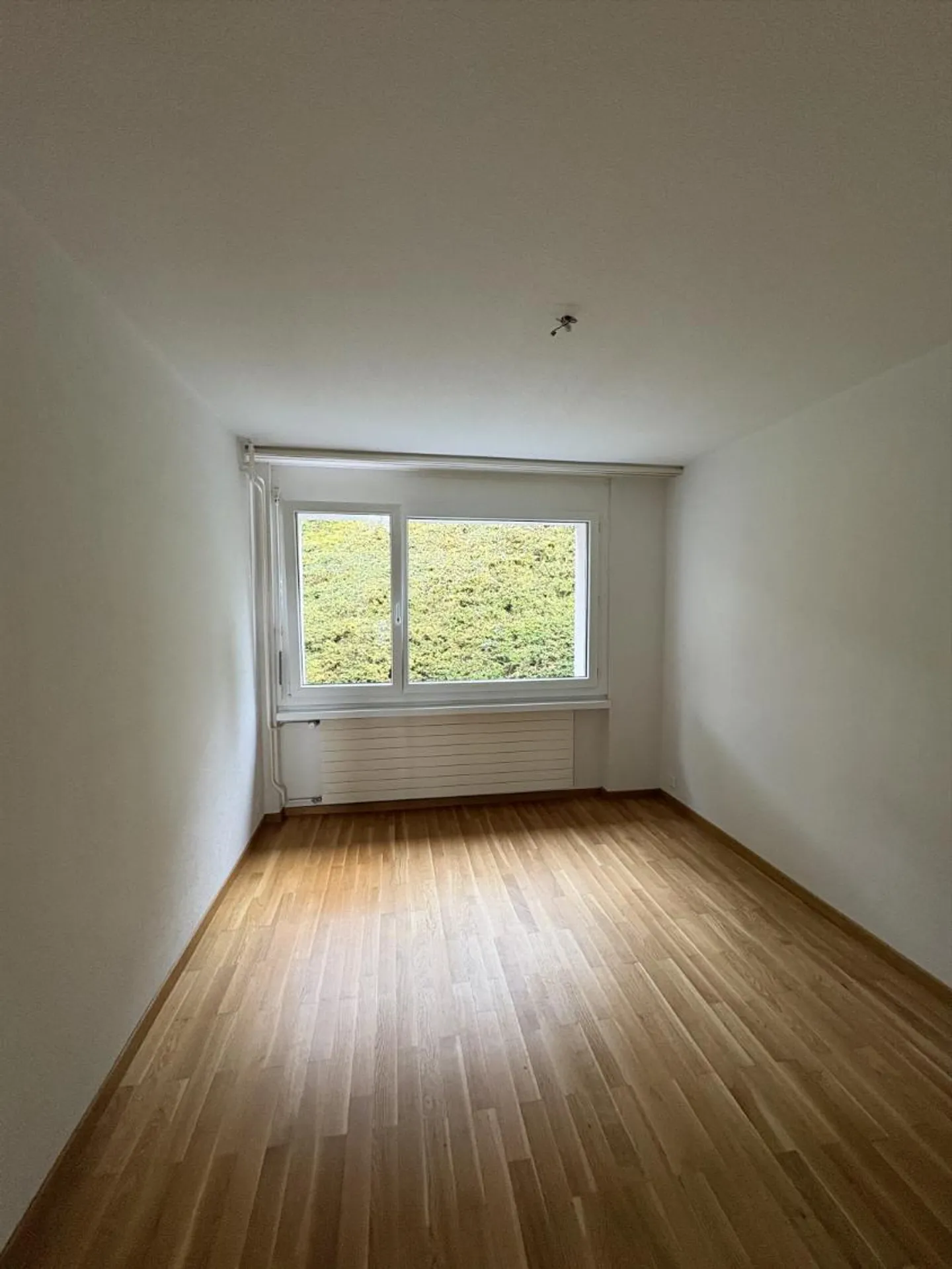 Charmante 3.5 Zimmer Wohnung - Foto 4 von 6