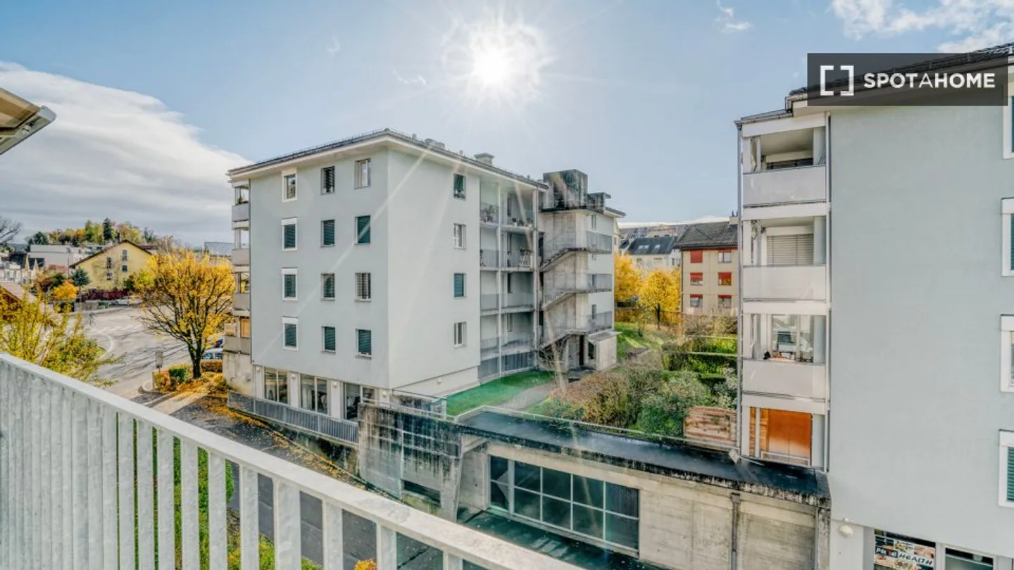 Appartamento Incantevole a Zurigo - Foto 5 di 18