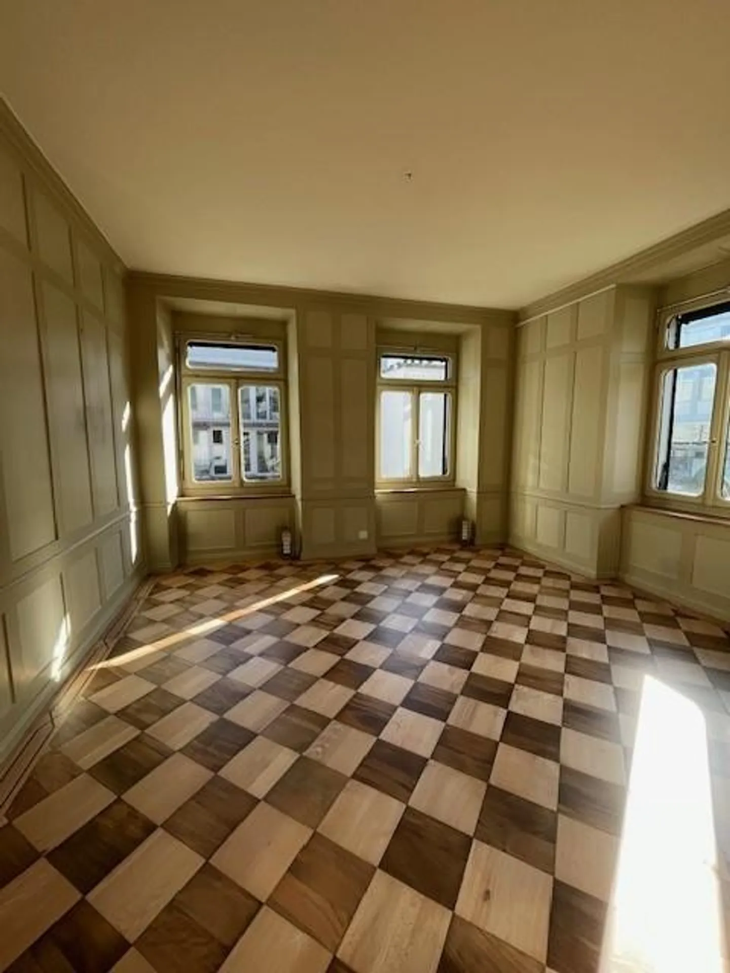 Representative, historical villa with fully developed office space - Photo 12 of 20