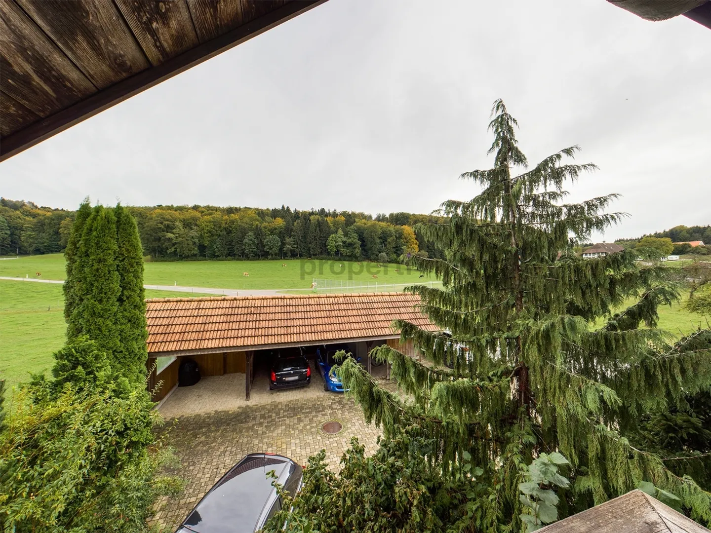 Vivere di alta qualità a Gossliwil Appartamento 4.5 stanze con carattere e fascino - Foto 10 di 11