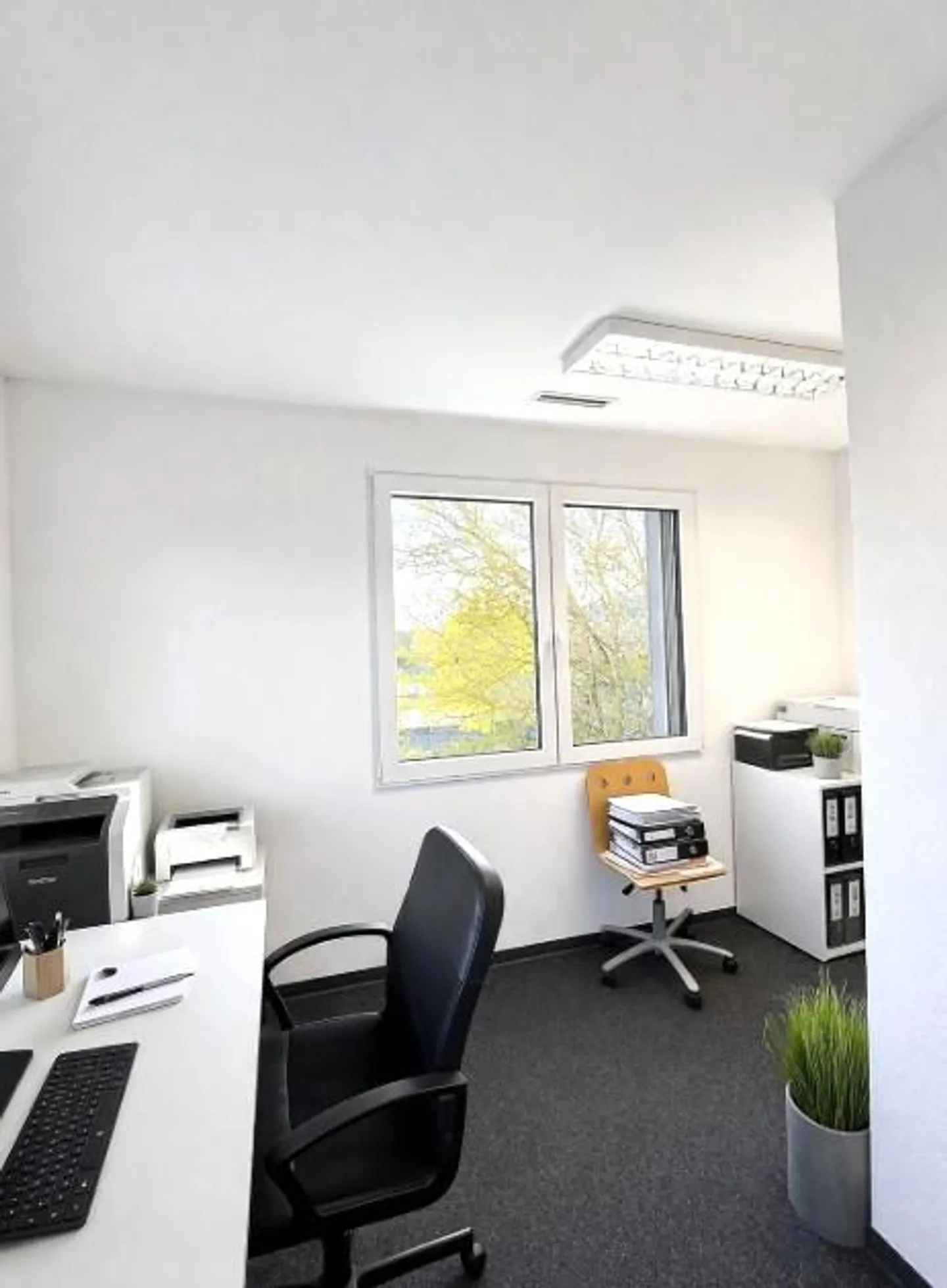 Modernes Büro in Au, SG - Foto 8 von 15