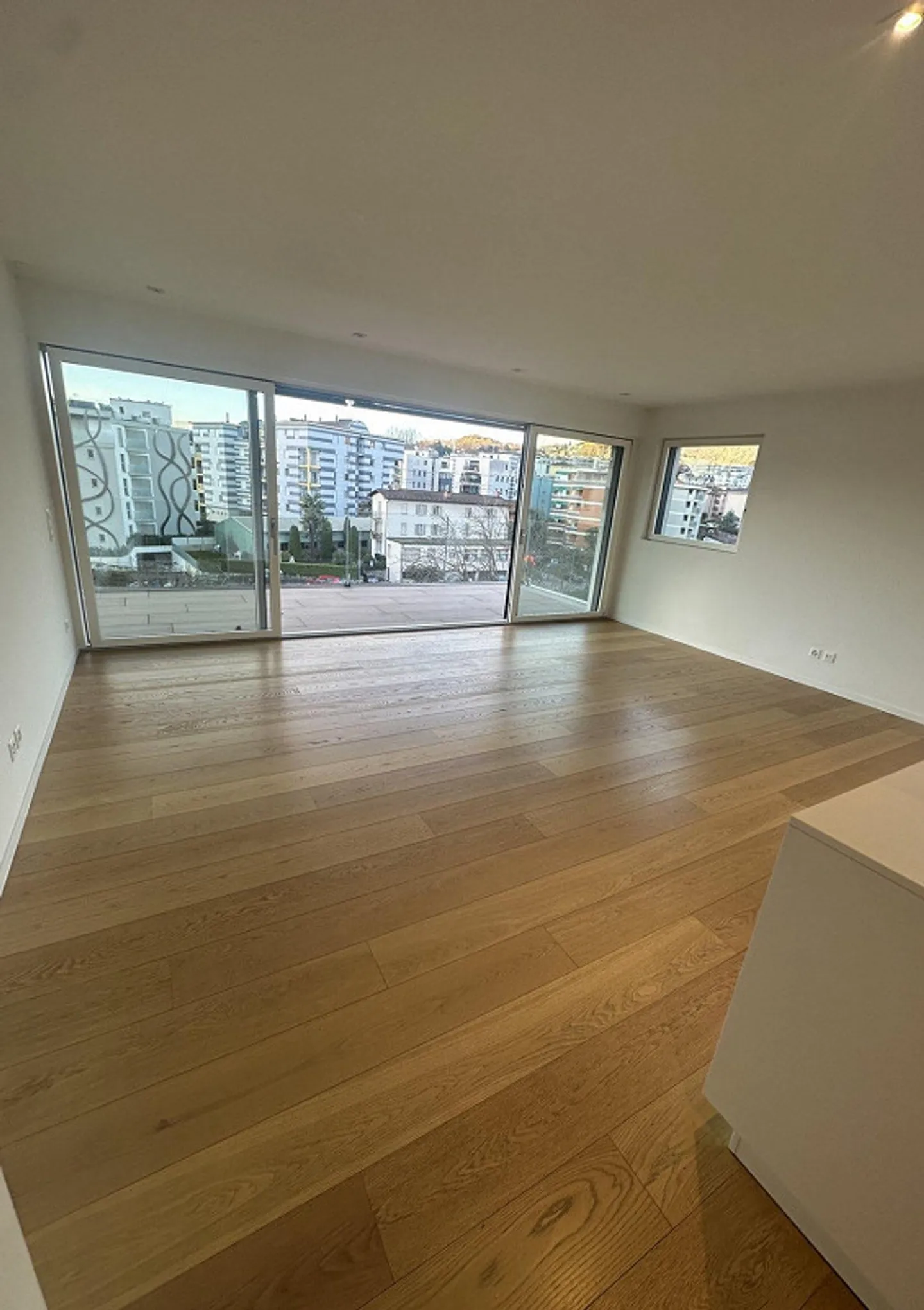 NUOVO PREZZO- STRATEGICO 3,5 LOC. A LUGANO CON VISTA LAGO - ID 23625 - Foto 9 di 11
