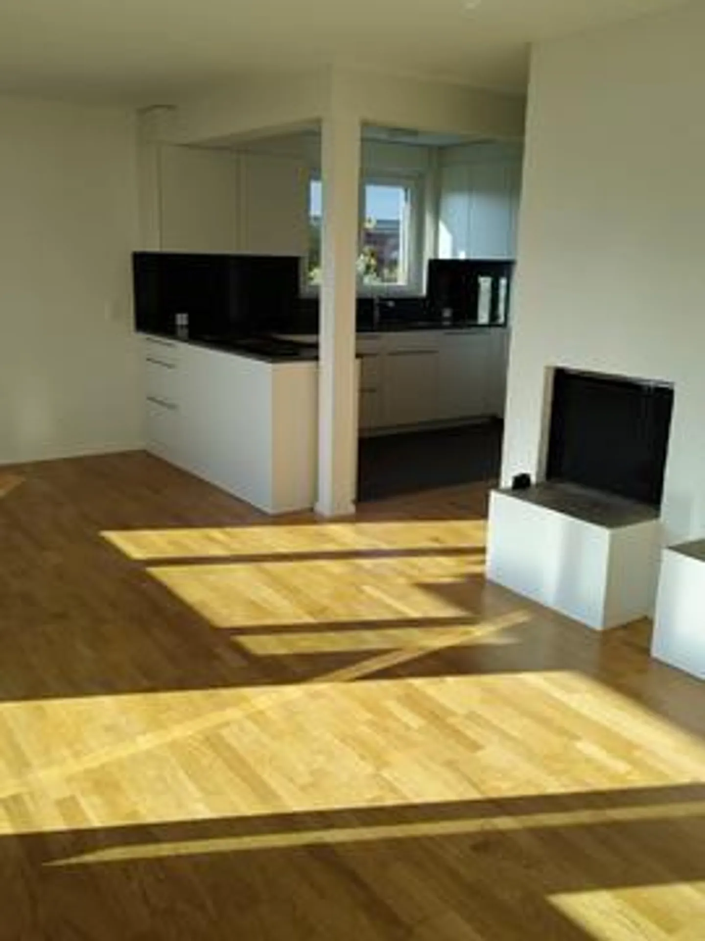Appartamento 4.5 stanze appena ristrutturato con vista sul lago - Foto 2 di 8