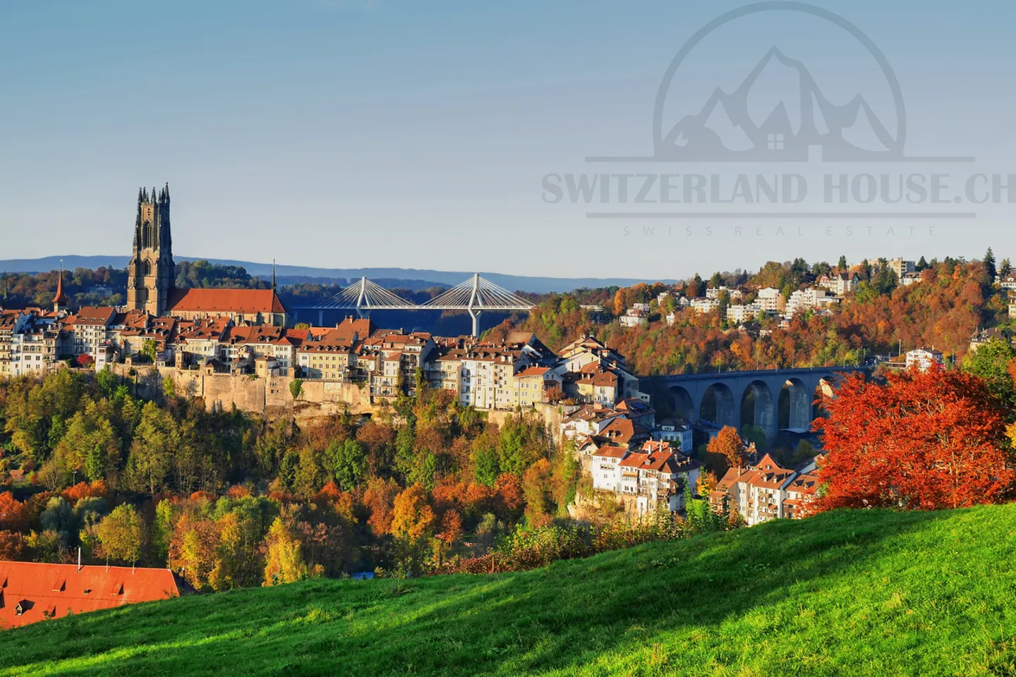 Investment Properties in Freiburg - Photo 2 of 4