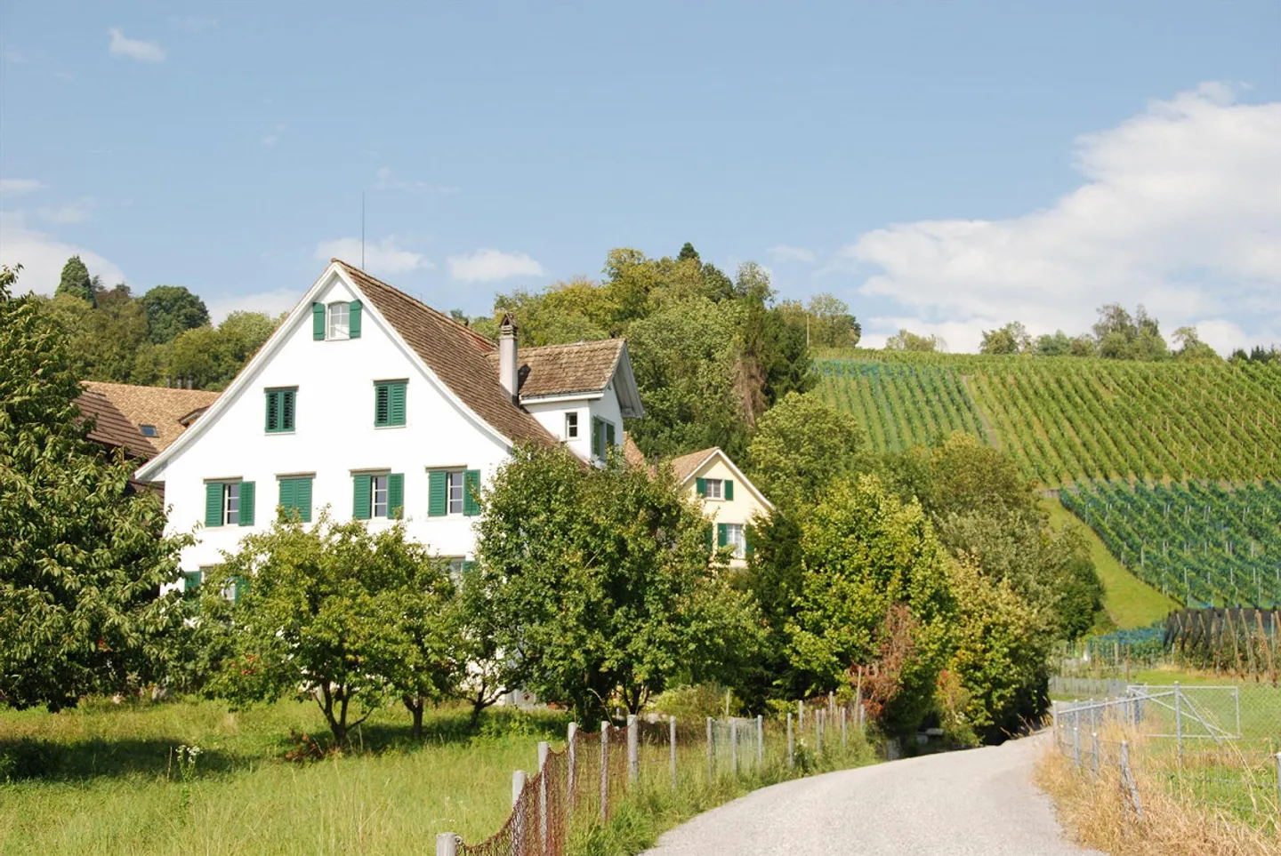 Charming Semi-Detached House with Lake View in Männedorf - Photo 1 of 18