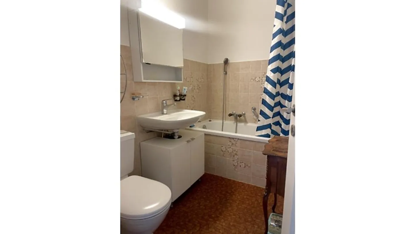 2 ROOM APARTMENT IN BERN - SULGENAU, FURNISHED, TEMPORARY - Photo 4 of 9