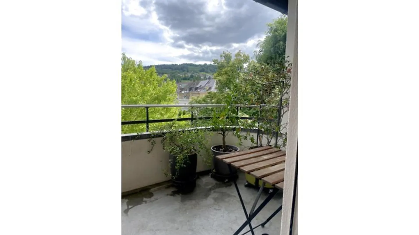 2 ROOM APARTMENT IN BERN - SULGENAU, FURNISHED, TEMPORARY - Photo 7 of 9