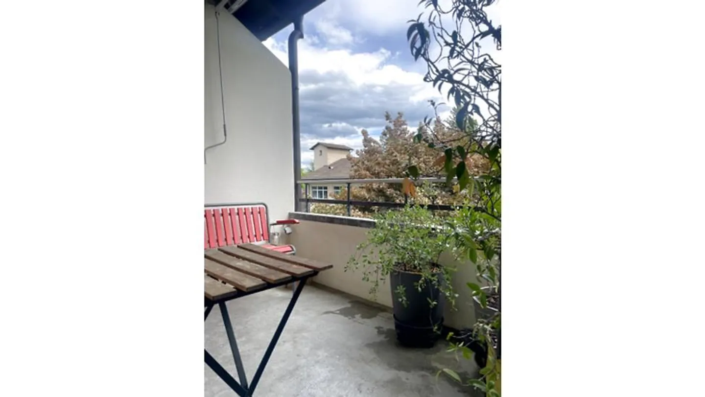2 ROOM APARTMENT IN BERN - SULGENAU, FURNISHED, TEMPORARY - Photo 8 of 9